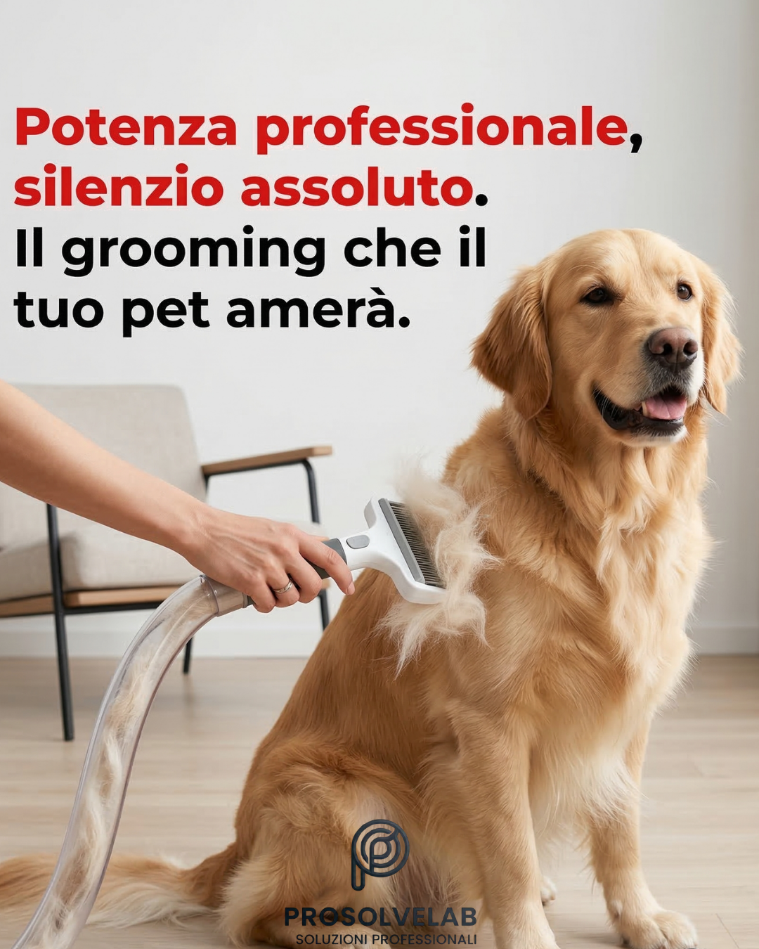 Aspiratore per Toelettatura 7 in 1 per Cani e Gatti | ProsolveLab