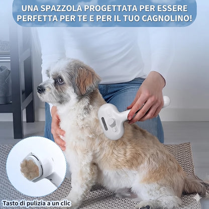 VapoBrush Prosolvelab™ - Trattamento Preventivo Contro Dermatiti e Nodi del Sottopelo
