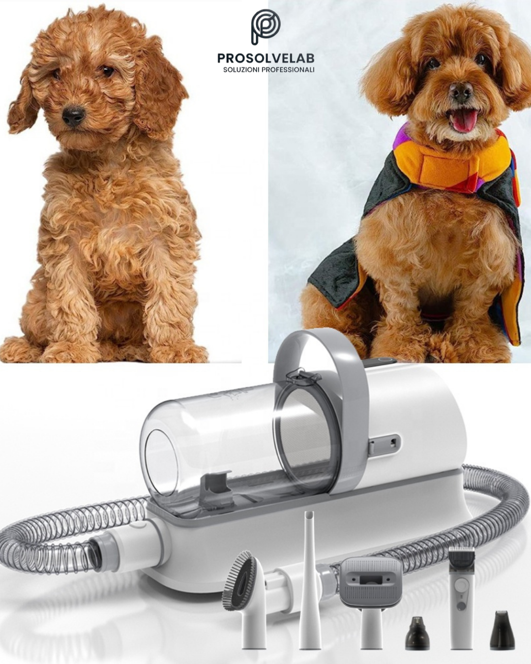 Aspiratore per Toelettatura 7 in 1 per Cani e Gatti | ProsolveLab